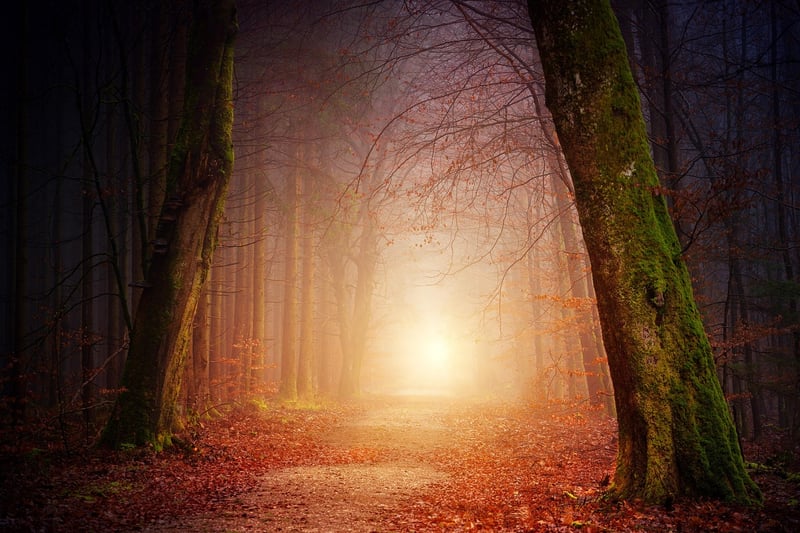 Woodland Banquet